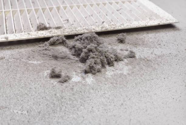 Best Air Duct Cleaning Near Me  in Norman Park, GA