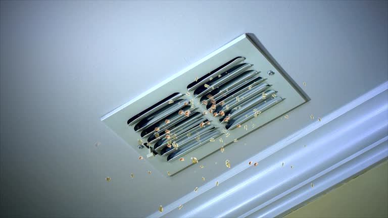 Best HVAC Duct Inspection Services  in Norman Park, GA
