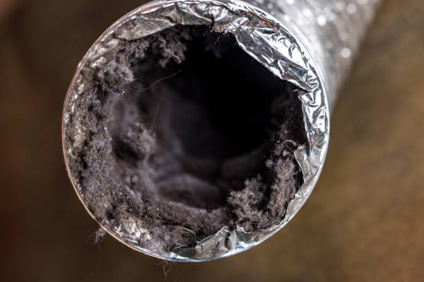 Best Air Duct Sanitizing Services  in Norman Park, GA