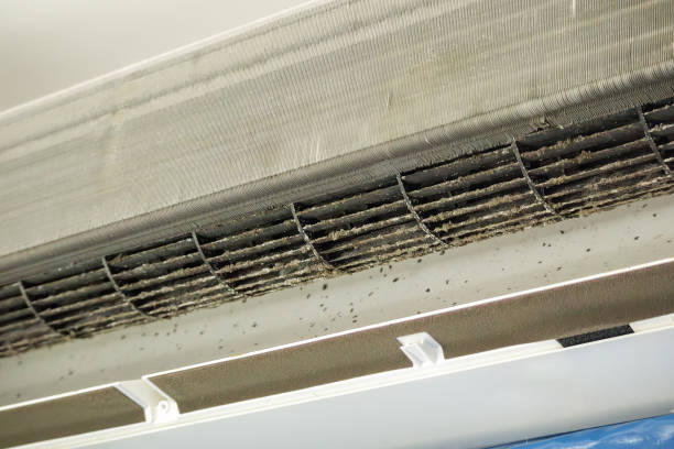 Best Local Air Duct Cleaning Services  in Norman Park, GA